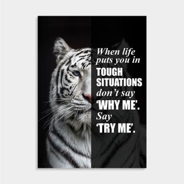 Animal quotes collectie voor een scandinavisch interieur